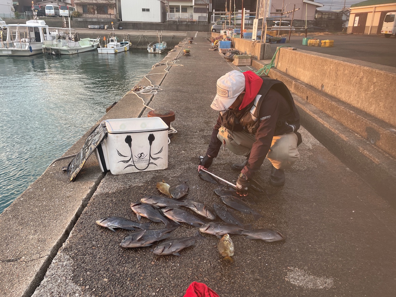 釣果: 田辺市のお客様、グレ30㎝〜39㎝